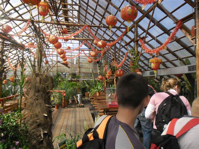 SAM_0293 (2)